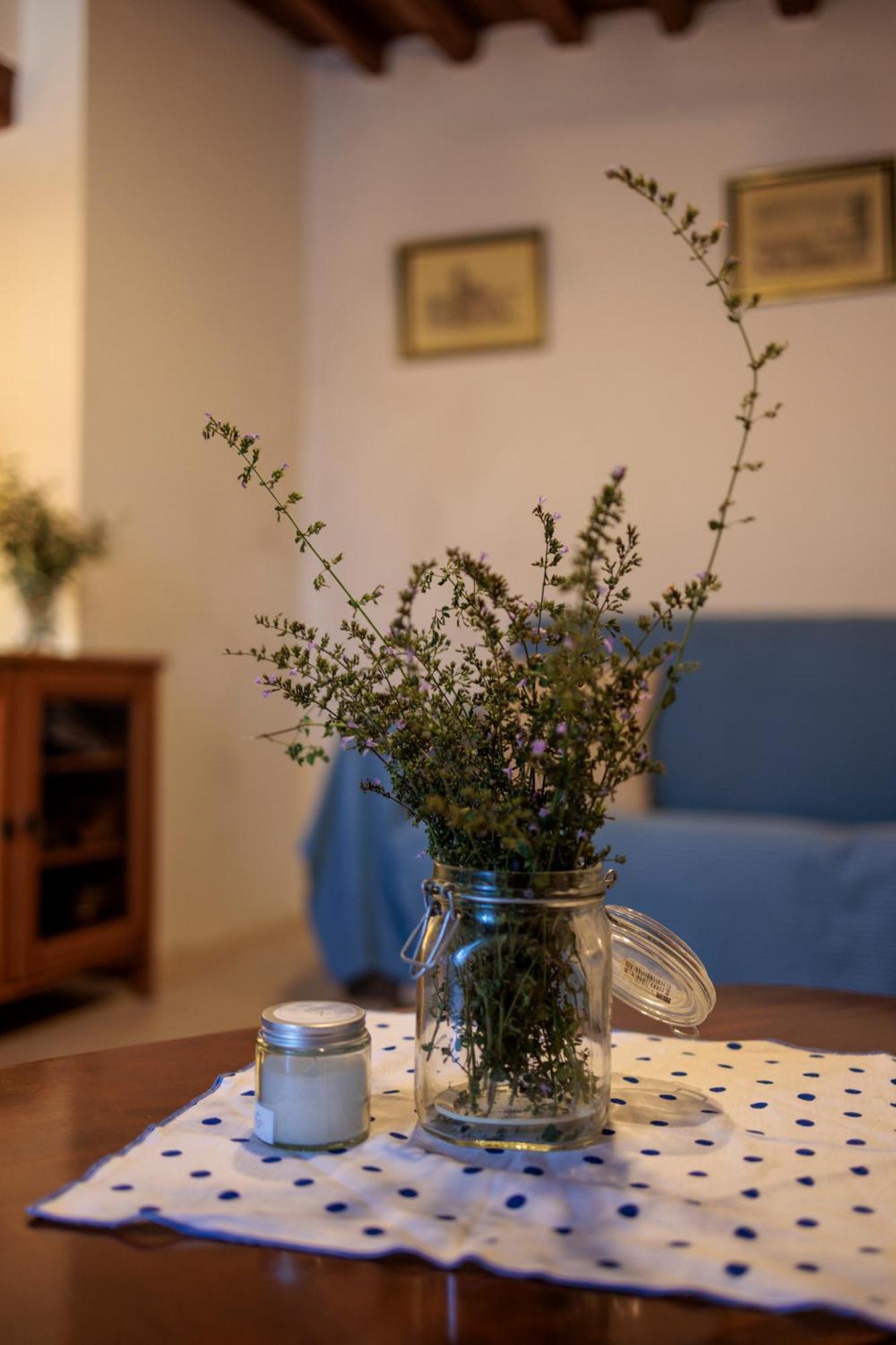Carpe Diem Colognora Villa Vetriano Eksteriør bilde
